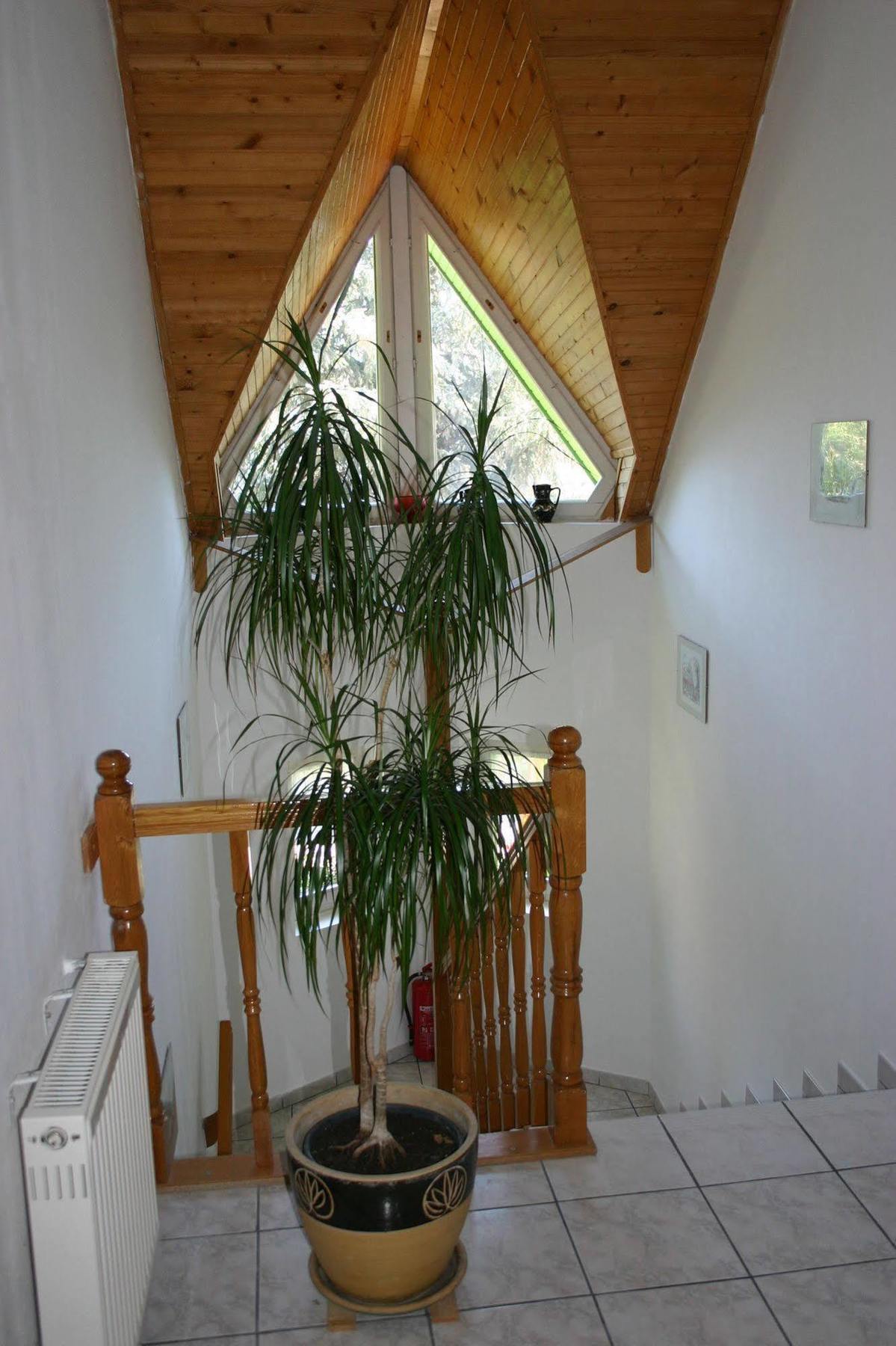 Lorelei Pension Adults Only Gyenesdiás Εξωτερικό φωτογραφία