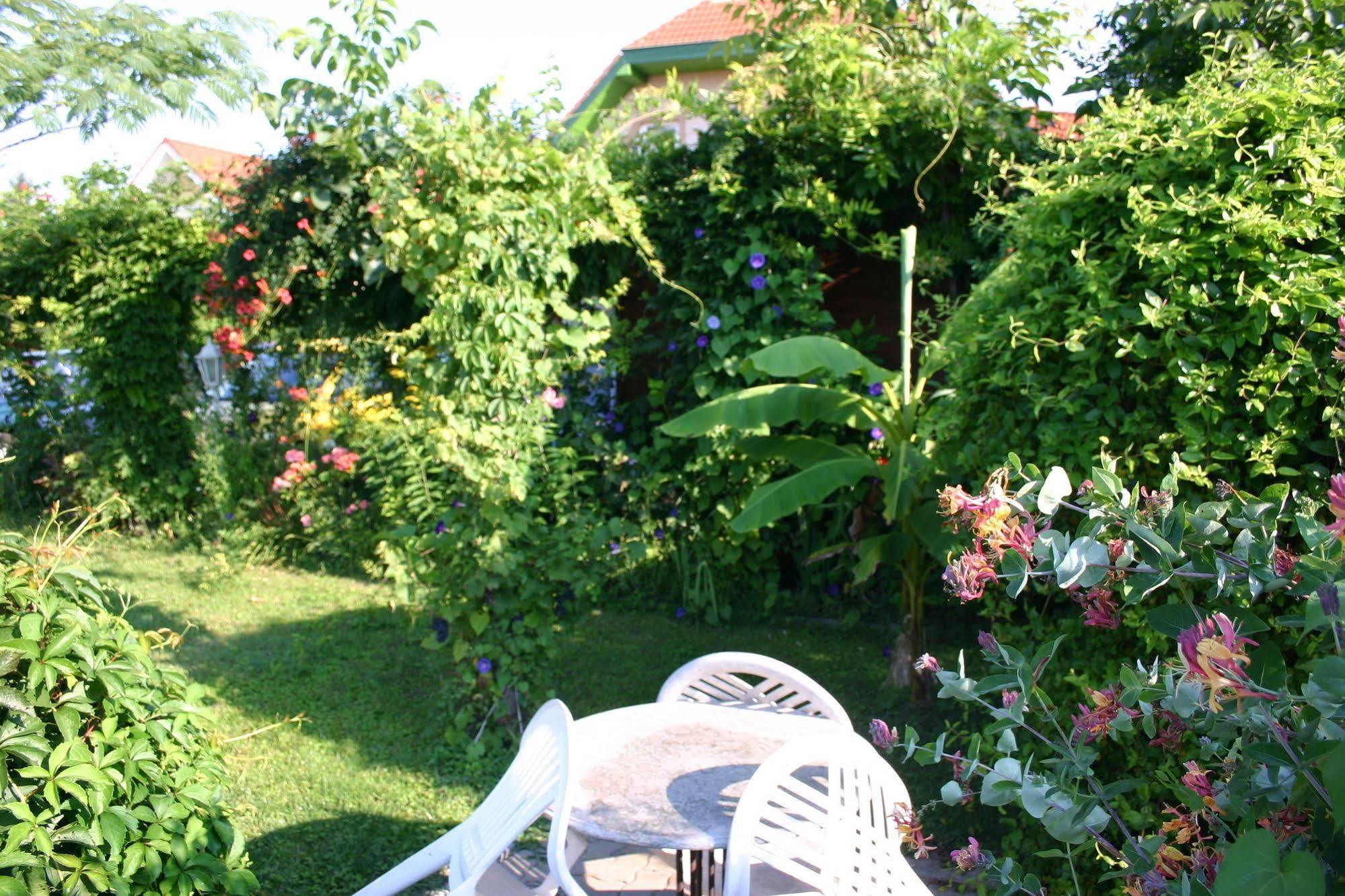 Lorelei Pension Adults Only Gyenesdiás Εξωτερικό φωτογραφία